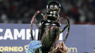 AFA confirmó cuándo se juegan los playoff de la liga argentina 2025 AFA confirmó cuándo se juegan los playoff de la liga argentina 2025