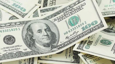El dólar oficial cerró a $ 72,04 y el contado con liquidación baja a $ 115,99