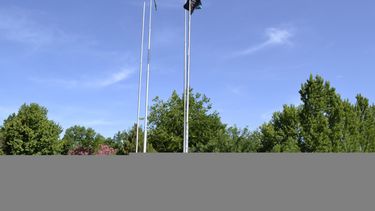 Sitio Andino | Entre 350 y 400 personas trabajan en las dos plantas que tiene IMPSA en Mendoza.