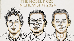Premio Nobel de Química 2024: la inteligencia artificial revoluciona el estudio de las proteínas