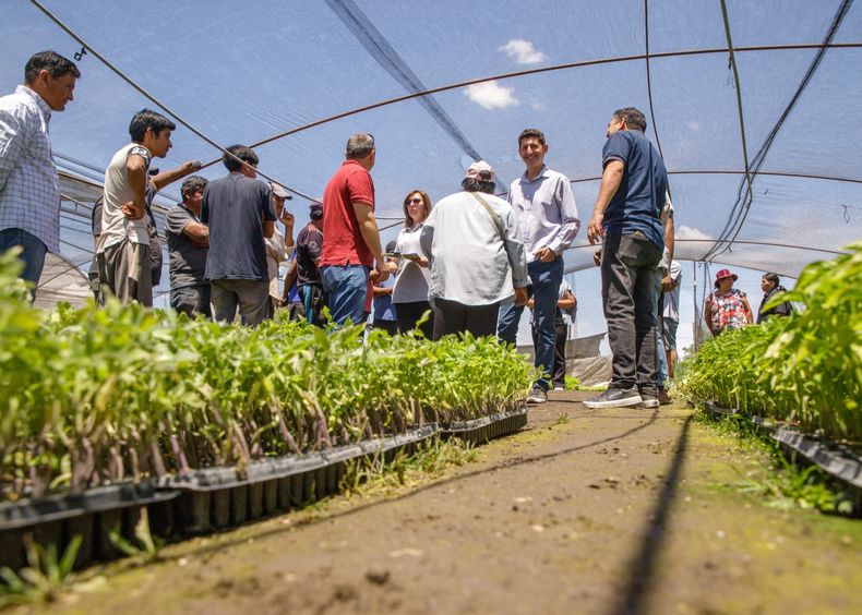 La entrega de plantines estará acompañada de capacitaciones para la extracción de semillas y la conservación de las mismas.