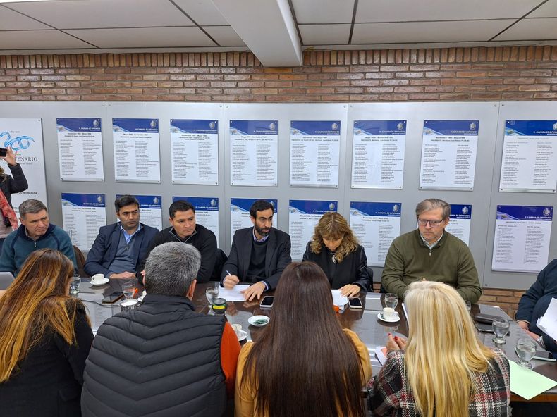 El ministro de Hacienda, Víctor Fayad, explicó en la Legislatura el plan para ceder las acciones de IMPSA.