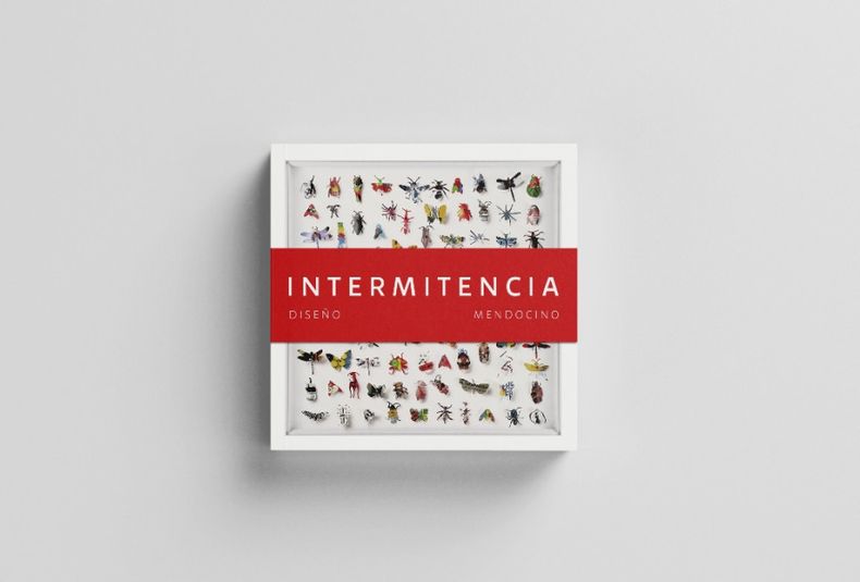 Libro INTERMITENCIA