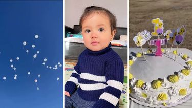 Amelia tenía diez meses de edad cuando murió en un choque
