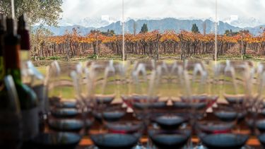 El destino más elegido en Semana Santa: Mendoza tuvo una ocupación turística del 80%