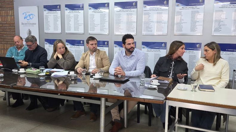 Plenario de comisiones en Diputados.