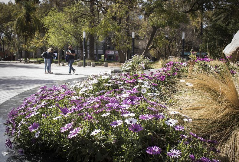 Primavera, calor, temperatura, clima, estacion primaveral, soleado y caluroso