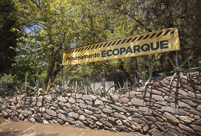 Zoológico de Mendoza, Ecoparque, Cerro de la gloria, animales en cautiverio
