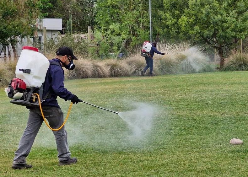 La Municipalidad de Maipú lleva tareas territoriales para evitar enfermedades transmitidas por mosquitos, como el dengue.