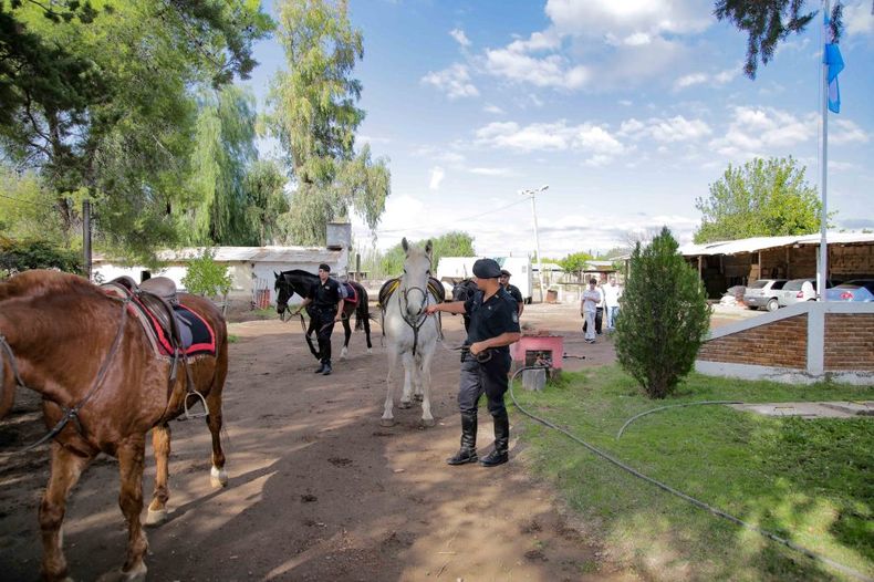 La Policía Montada se consolidó como un símbolo de cercanía con la comunidad