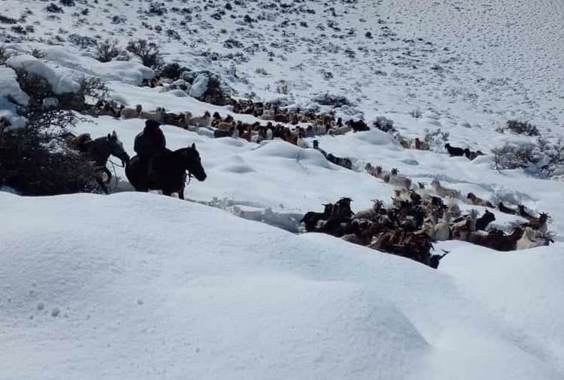 Arreos durante el último temporal (Foto gentileza).
