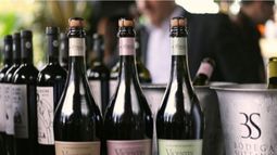Dos bodegas y hectáreas de viñedos, los activos de Vicentin en Mendoza
