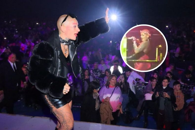 Furia de Gran Hermano asistió a un famoso circo: ovación y doloroso accidente