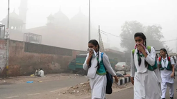 Descenso de contaminación en India: reabren las escuelas.&nbsp;
