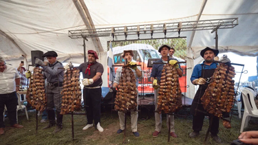 Todo listo para el Día de Campo en General Alvear: así será este año el tradicional evento ganadero. Todo listo para el Día de Campo en General Alvear: así será este año el tradicional evento ganadero.