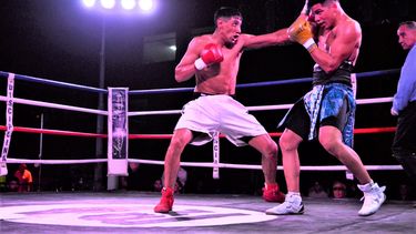 Buonarrigo buscará imponer su boxeo en el Cuna de Campeones V (Foto Prensa Pandolfino Box). Buonarrigo buscará imponer su boxeo en el Cuna de Campeones V (Foto Prensa Pandolfino Box).