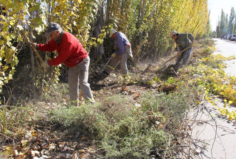 Limpieza y desmalezado en Carrodilla