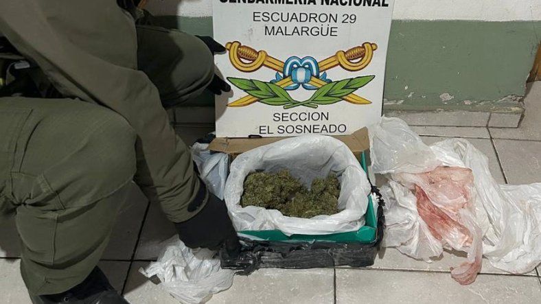 Secuestro de droga en El Sosneado. Secuestro de droga en El Sosneado.
