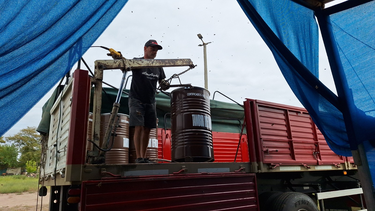 Cargas de miel en San Rafael. Cargas de miel en San Rafael.