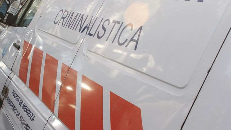 El caso quedó a cargo de las autoridades judiciales de San Martín.