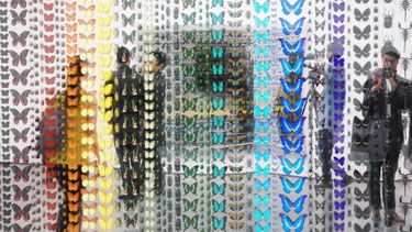 Sitio Andino | 20 Installation-View-of-Damien-Hirst-Entomology-Cabinets-and-Paintings-Scalpel-Blade-Paintings-and-Colour-Charts-©Damien-Hirst-Source-www.lesocietefair.com _redimensionar