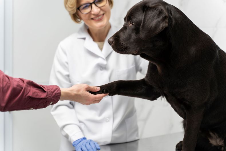 Sólo está disponible los días martes en las veterinarias adheridas.
