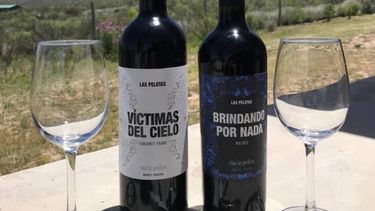 Sitio Andino | vino Las Pelotas