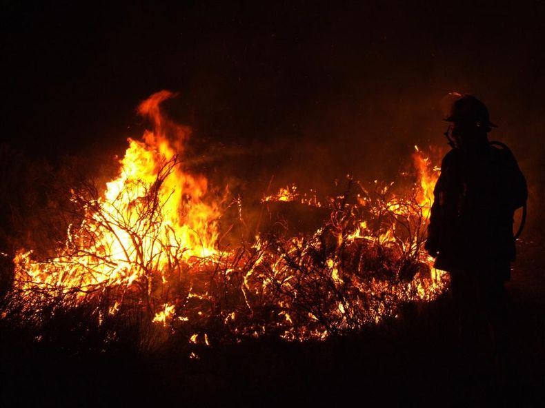 El 80% de los incendios son intencionales