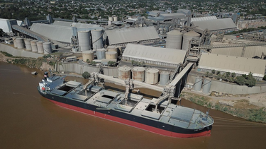 Exportaciones: el agro aportó el 60% de las ventas al exterior en lo que va del 2025