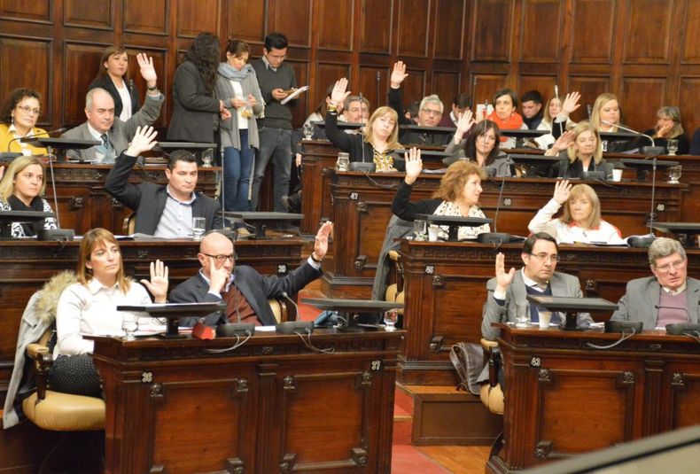 Diputados transito