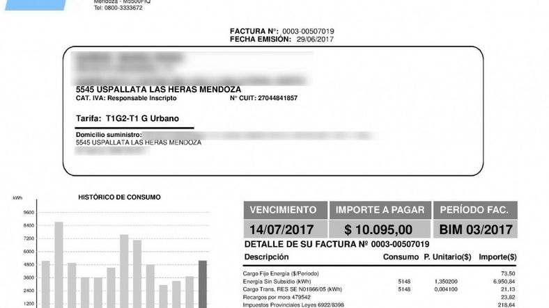 Luz: con la pandemia 3 de cada 10 usuarios mendocinos refinanciaron sus facturas