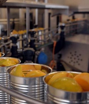 El consumo de durazno para la industria se mantuvo, pero el sector advierte sobre la falta de rentabilidad