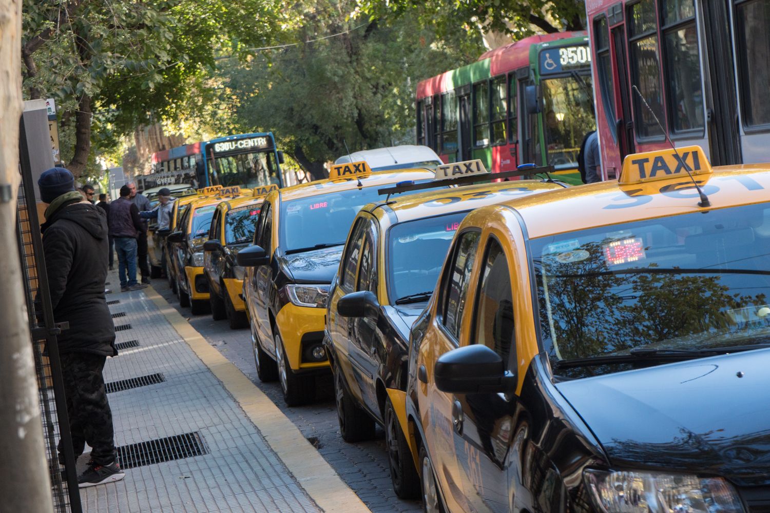Día Nacional del Taxista: por qué se recuerda hoy, 7 de mayo