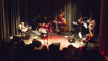 Sitio Andino | Orquesta sismica
