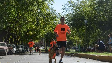 Sitio Andino | maraton animal