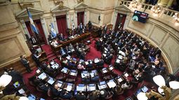 La Cámara Alta volvió a darle un revés legislativo al gobierno de Milei