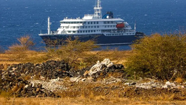 Drama sanitario en altamar: un argentino relató el brote de hantavirus en el crucero MV Hondius Drama sanitario en altamar: un argentino relató el brote de hantavirus en el crucero MV Hondius