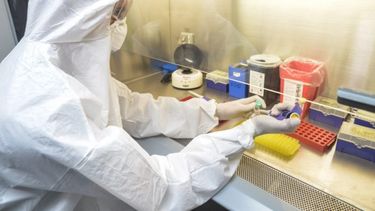 Sitio Andino | coronavirus, laboratorio, mendoza