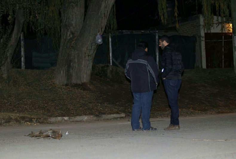 crimen las heras