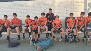 El handball de la Amebal y una nueva fecha entre las promesas.