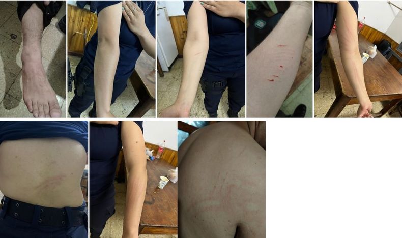 Las im&aacute;genes compartidas por el Ministerio de Seguridad y Justicia de Mendoza.