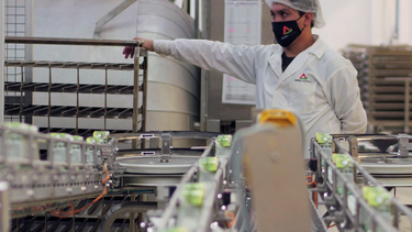 aumento del alimentar, como transformalo en circulo virtuoso