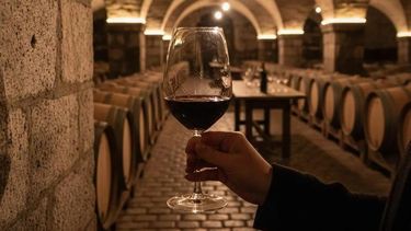 Turismo del vino: una comuna del Gran Mendoza y otra del Valle de Uco se unen para potenciar la industria. Turismo del vino: una comuna del Gran Mendoza y otra del Valle de Uco se unen para potenciar la industria.