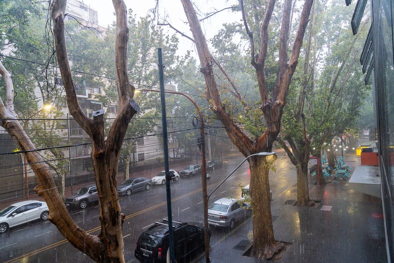 Alerta amarilla en Mendoza: a qué hora podrían llegar las tormentas más fuertes esta tarde