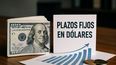 plazos fijos en dolares ¿inversion, ahorro o esquema ponzi?