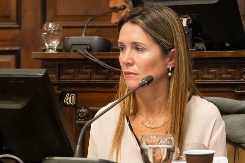 Griselda Petri, diputada provincial por la UCR.