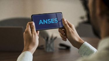 Sitio Andino | Anses