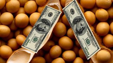 dolar soja reversionado: la esperanza para sumar reservas