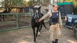Nuevo operativo de la Policía de Mendoza contra el maltrato animal.&nbsp;