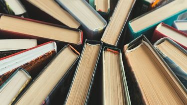 Día del Libro en Argentina: por qué se celebra hoy, 15 de junio Día del Libro en Argentina: por qué se celebra hoy, 15 de junio